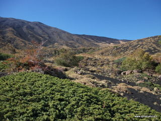 rrente Quarantore-01-11-2012 10-59-34
